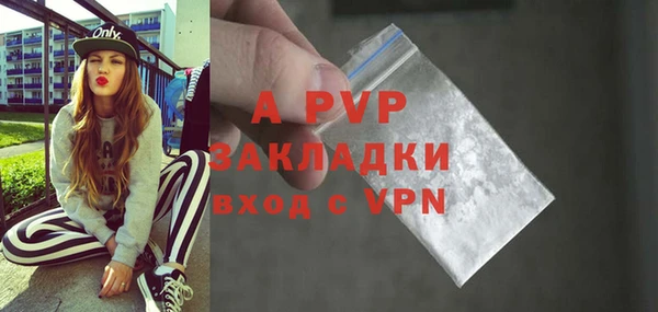 гашик Козельск