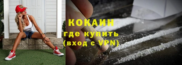 гашик Козельск