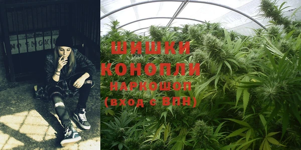 индика Кодинск