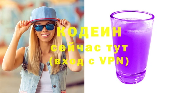 индика Кодинск
