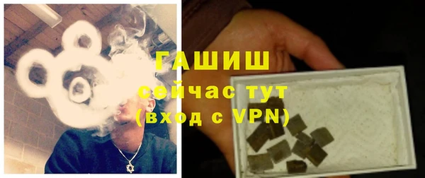 гашик Козельск