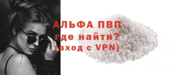 гашик Козельск