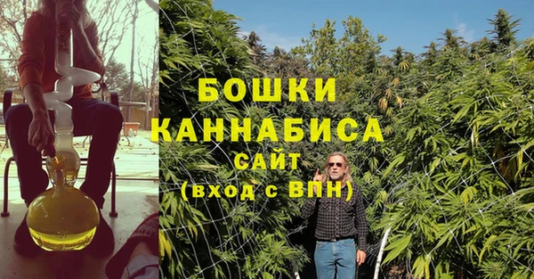индика Кодинск