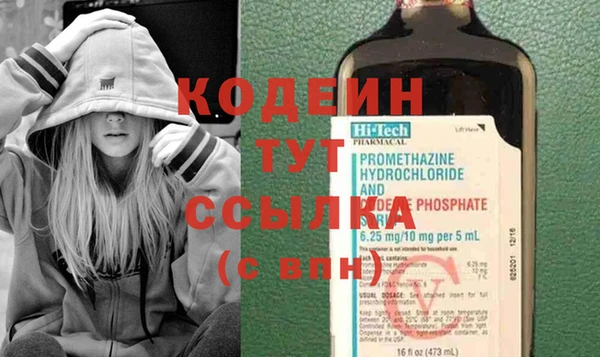 индика Кодинск