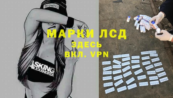 индика Кодинск