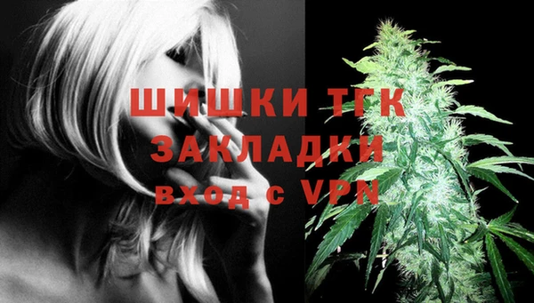 гашик Козельск