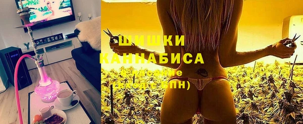 индика Кодинск