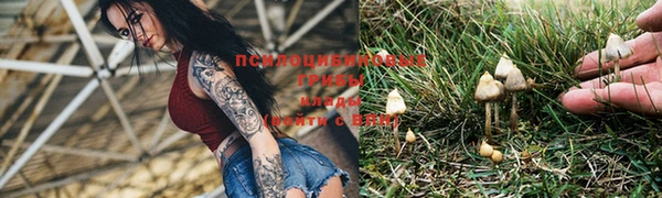 mdma Костерёво