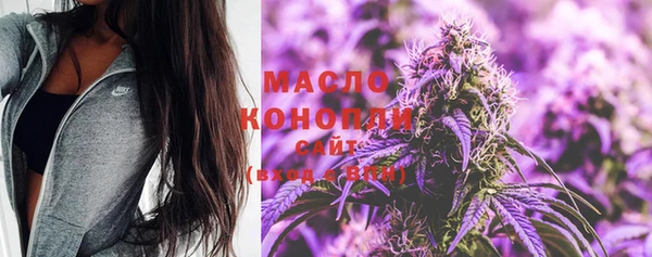 гашик Козельск