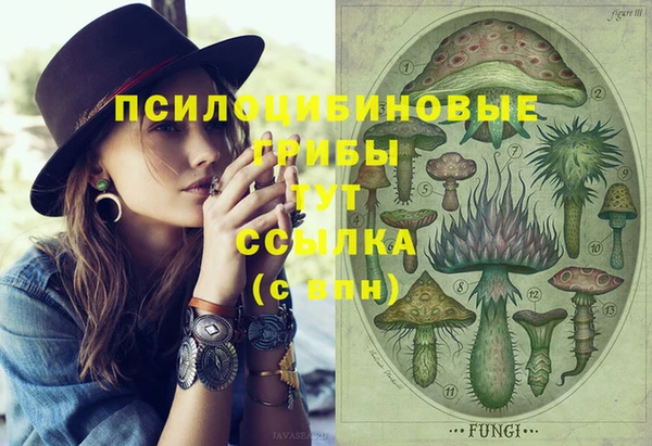 гашик Козельск