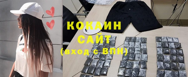 гашик Козельск