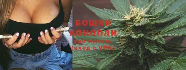 прущие грибы Корсаков